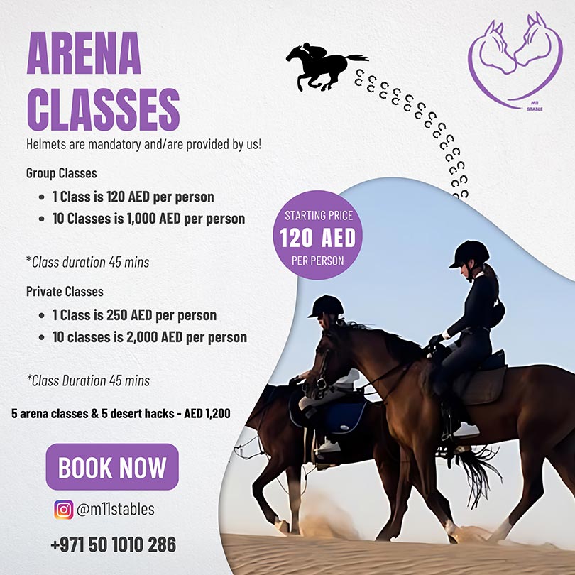 M11 stables - horse riding Price packages