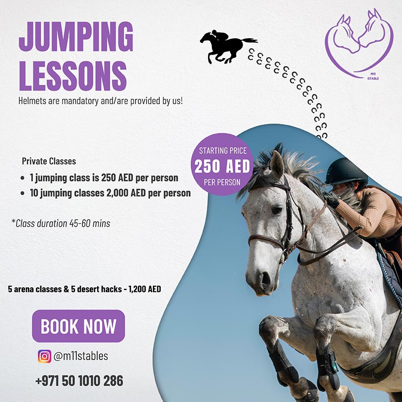 M11 stables - horse riding Price packages